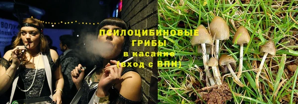 apvp Бугульма