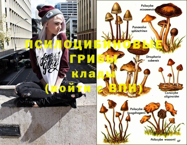 не бодяженный Бронницы