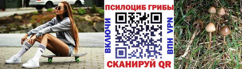 Псилоцибиновые грибы мухоморы  Махачкала 