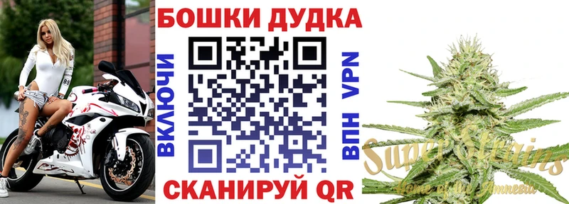 Канабис LSD WEED  закладки  даркнет Telegram  Махачкала 